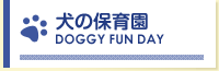 犬の保育園・Doggy Fun Day